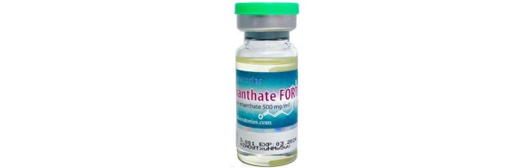 SP Enanthate Forte 500 мг/мл 10 мл